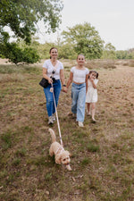Midnight Black meets Blush Tweed Dog Walking Set - Perlujo