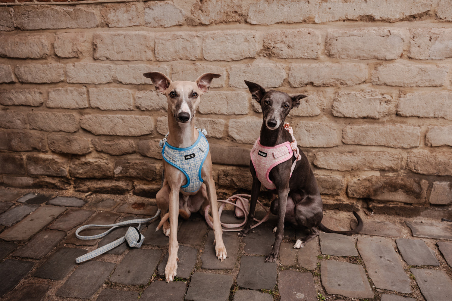 Sky Tweed Adjustable Step-In Harness