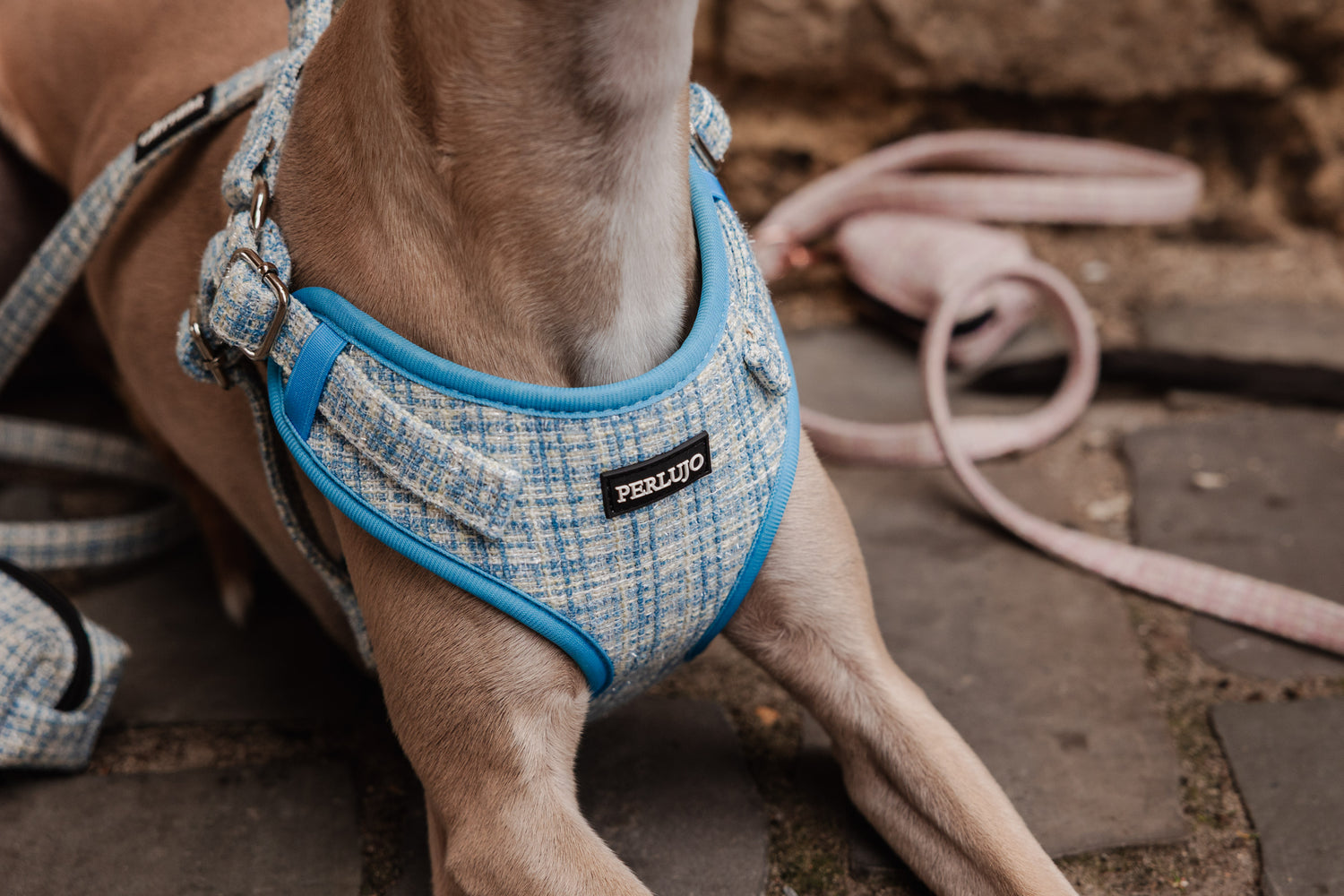 Sky Tweed Adjustable Step-In Harness