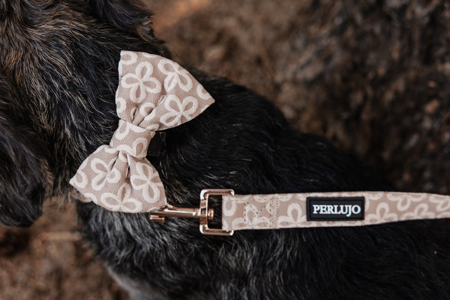 Champagne Clover Bow Tie - Perlujo