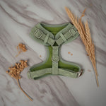 Minty Love Essentials Ensemble: Adjustable Neck Harness, Collar & Leash - Perlujo