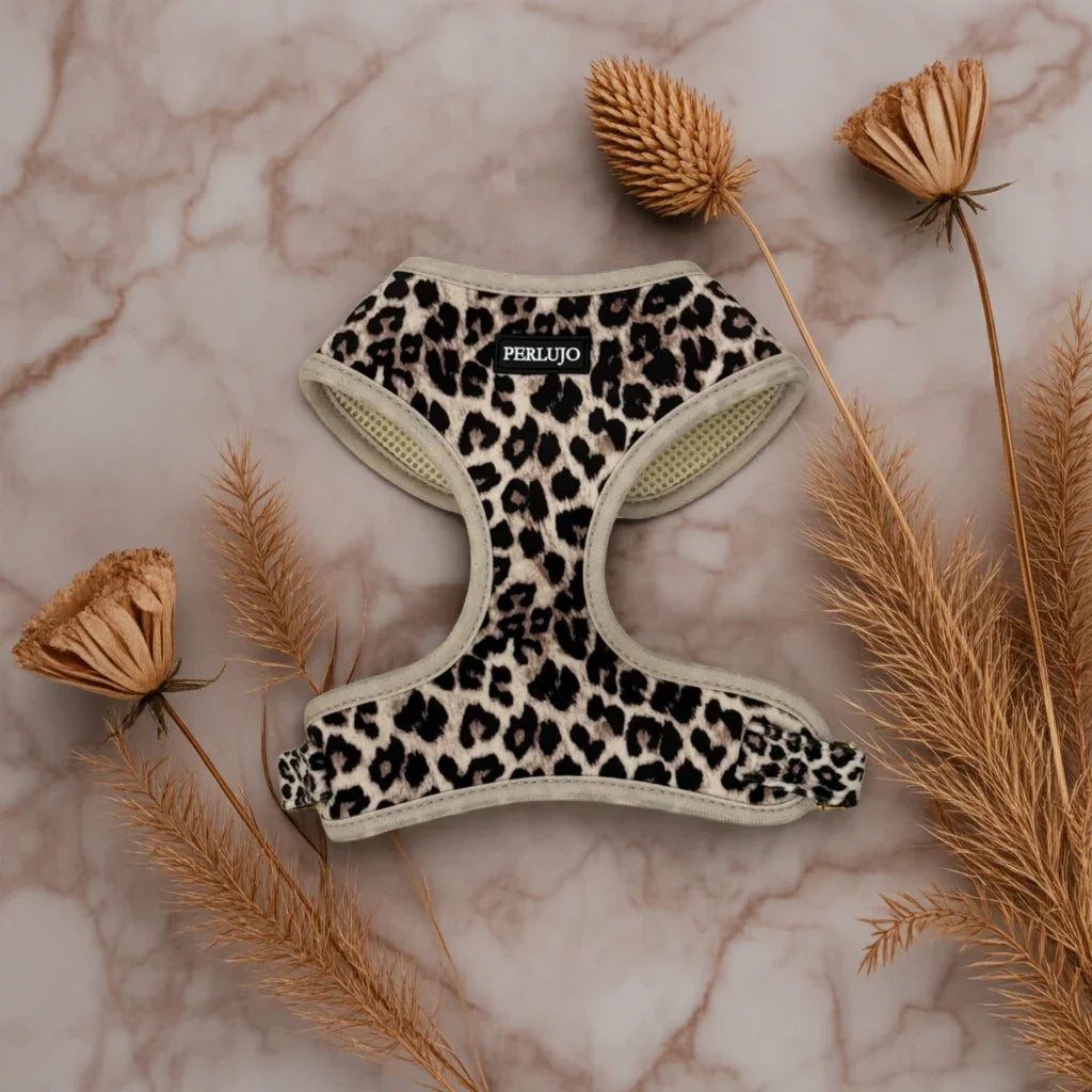Wild Elegance Essentials Ensemble: Adjustable Neck Harness, Collar & Leash - Perlujo