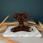 Classic Comfort Essentials Ensemble: Adjustable Neck Harness, Collar & Leash - Perlujo