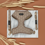 Champagne Clover Essentials Ensemble: Adjustable Neck Harness, Collar & Leash - Perlujo