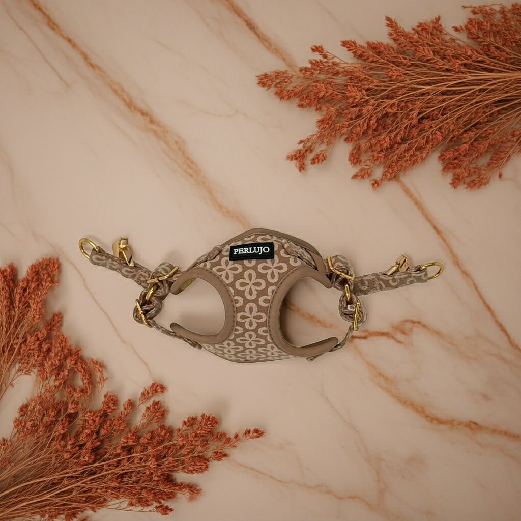 Champagne Clover Step-in Adjustable Harness