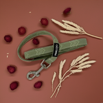 Minty Love Essentials Ensemble: Adjustable Neck Harness, Collar & Leash - Perlujo