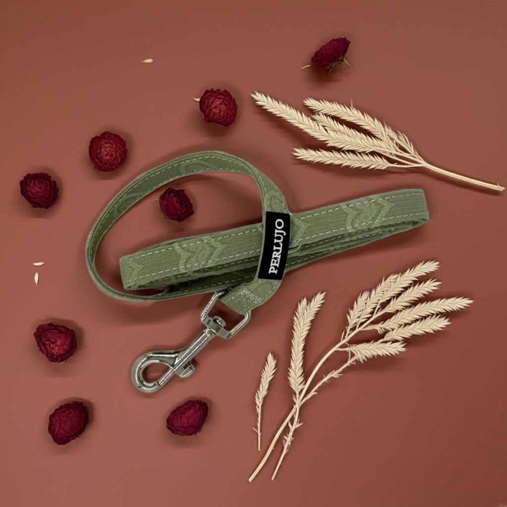 Minty Love Essentials Ensemble: Adjustable Neck Harness, Collar & Leash - Perlujo