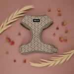 Champagne Clover Essentials Ensemble: Adjustable Neck Harness, Collar & Leash - Perlujo