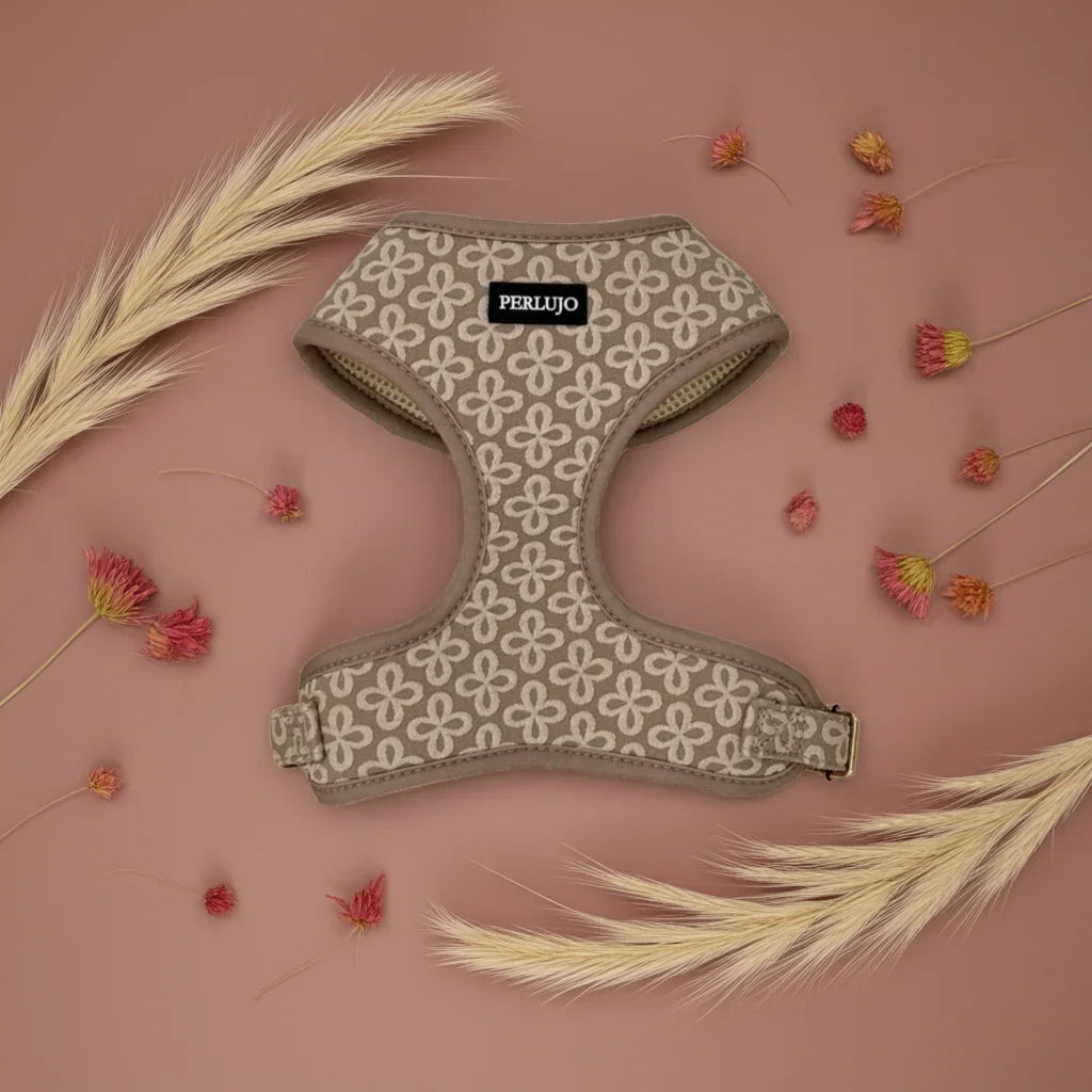 Champagne Clover Essentials Ensemble: Adjustable Neck Harness, Collar & Leash - Perlujo